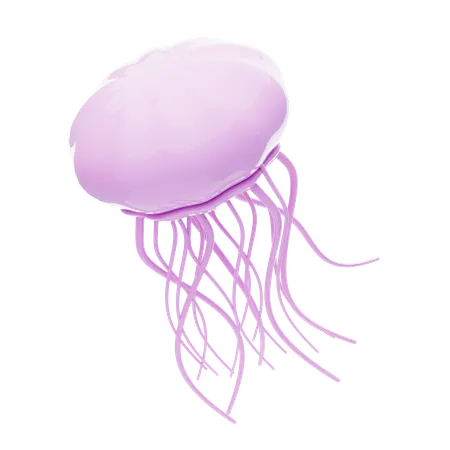 Jellyfish  3D Icon