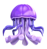 Jellyfish