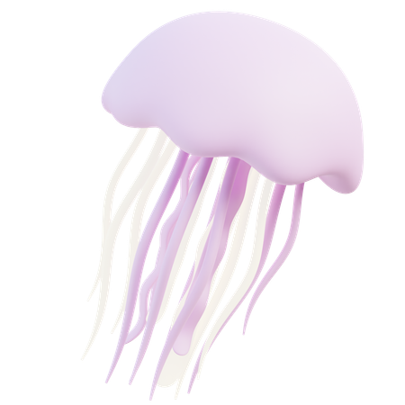 Jellyfish  3D Icon