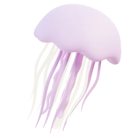 Jellyfish  3D Icon