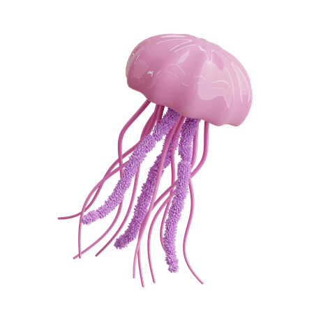 Jellyfish  3D Icon