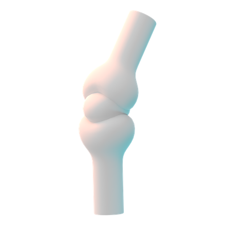 Joint  3D Icon