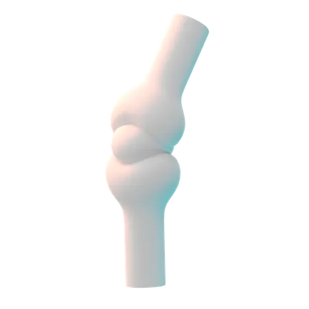 Joint  3D Icon