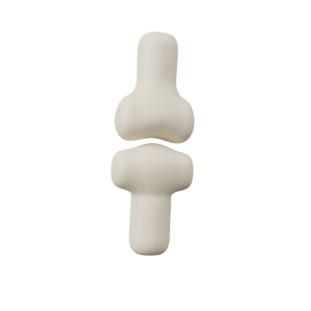 Joint Bone  3D Icon