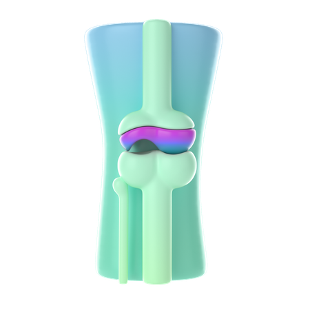 Joint Damage Bone  3D Icon