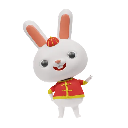 Lapin chinois heureux  3D Icon