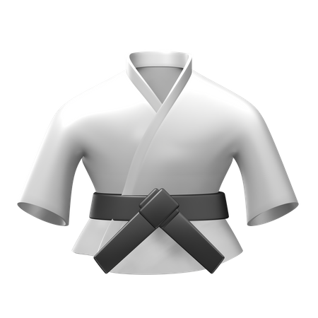 Judo  3D Illustration
