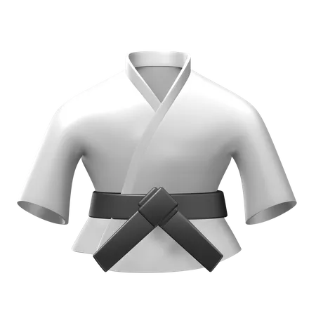 Judo  3D Illustration