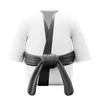 Judo Karate