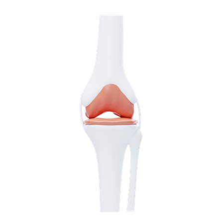 Articulações  3D Icon