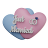 just married 3d illustration