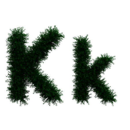 K  3D Icon