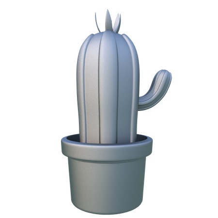 Kaktus  3D Illustration