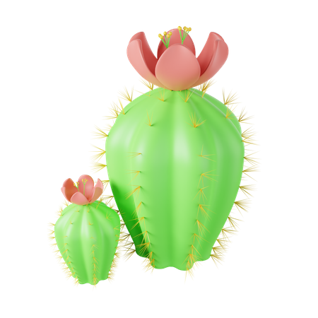 Kaktus  3D Illustration