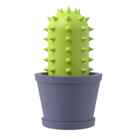 Kaktuspflanze  3D Illustration