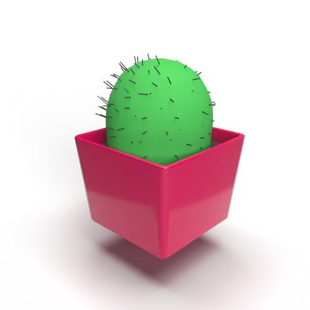 Kaktuspflanze  3D Illustration