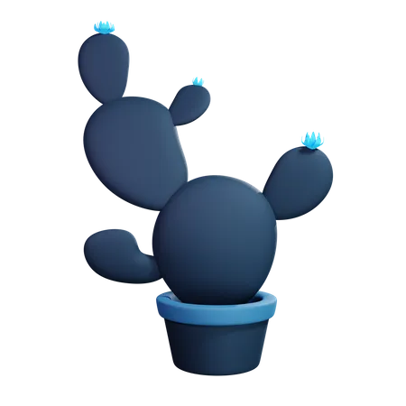 Kaktuspflanze  3D Illustration