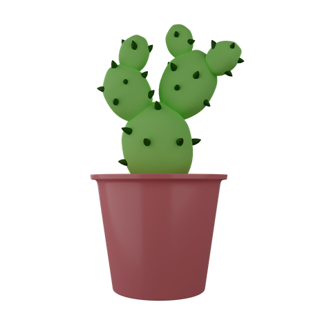Kaktuspflanze  3D Illustration