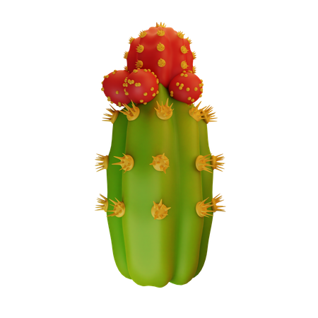 Kaktuspflanze  3D Icon