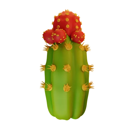 Kaktuspflanze  3D Icon