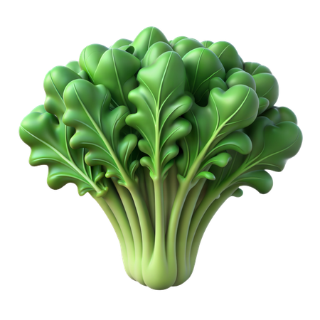 Kale  3D Icon