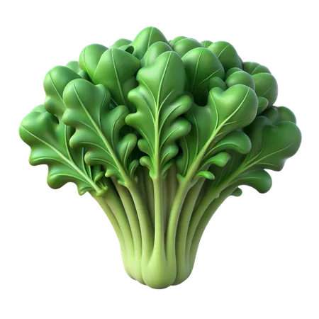 Kale  3D Icon