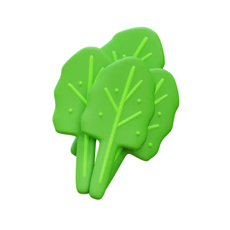 Kale  3D Icon