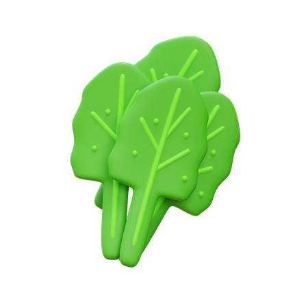 Kale  3D Icon