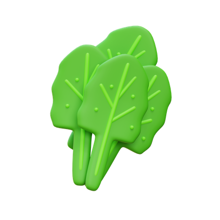 Kale  3D Icon