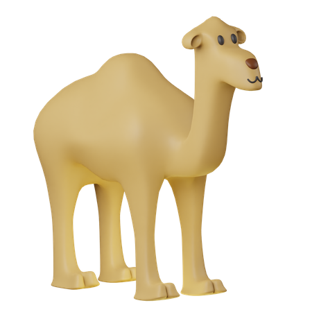Kamel  3D Icon