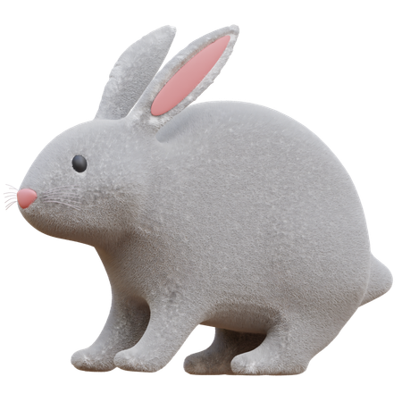 Kaninchen  3D Icon