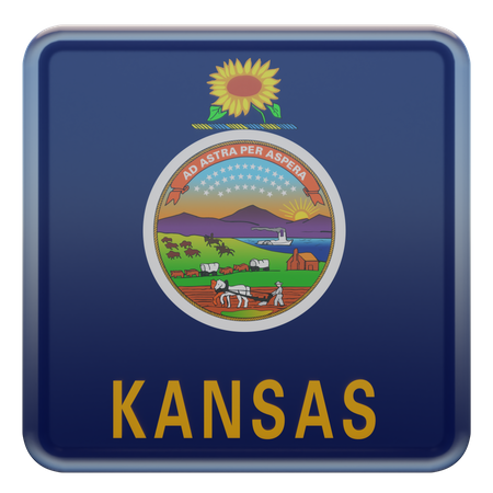 Kansas Square Flag  3D Icon