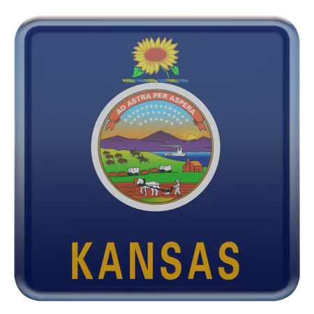 Kansas Square Flag  3D Icon