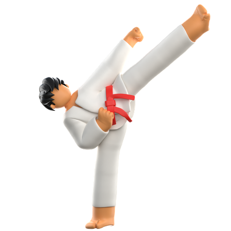 Karate Player Kicks  3D Illustration