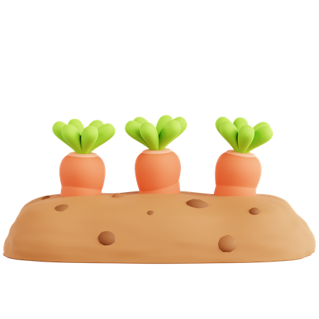 Karottenanbau  3D Icon