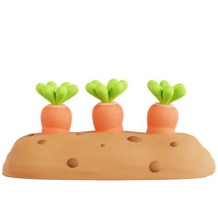 Karottenanbau  3D Icon