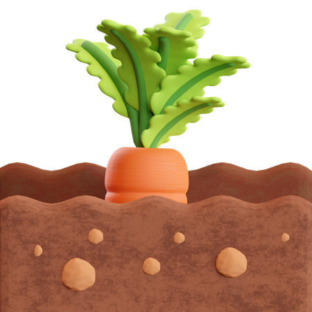 Karottenfarm  3D Illustration