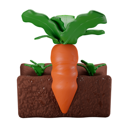 Karottenfarm  3D Illustration