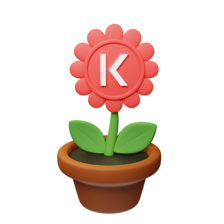 Kava Crypto Plant Pot  3D Icon