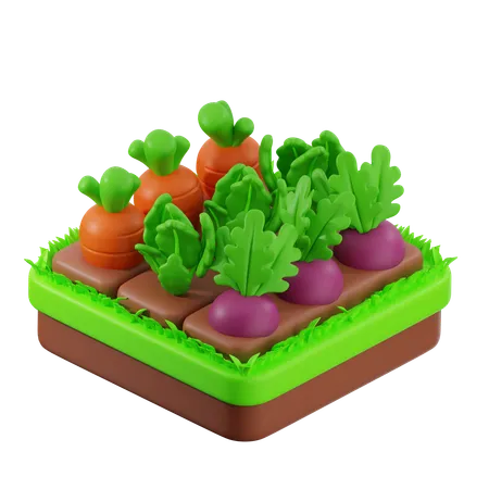 地上の野菜畑  3D Icon