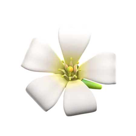Kemuning Flower  3D Icon