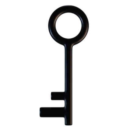 Key  3D Illustration