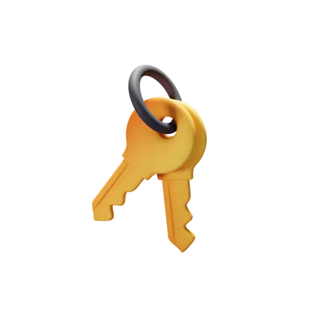 Two 3 D Golden Colour Keys 3D Icon
