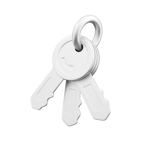 Keys  3D Icon