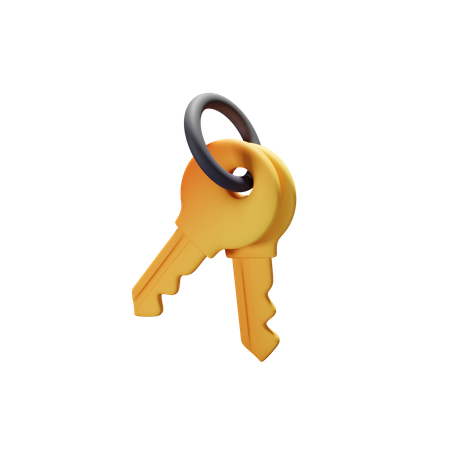 Keys  3D Icon