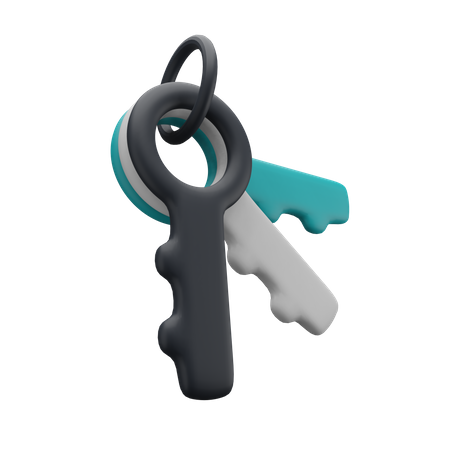 Keys  3D Icon