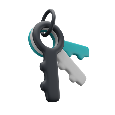 Keys  3D Illustration