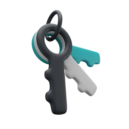 Keys  3D Illustration