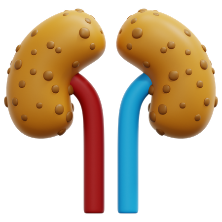 Kidney  3D Icon