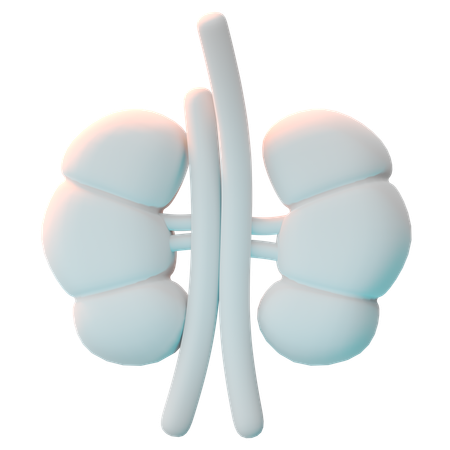 Kidney  3D Icon